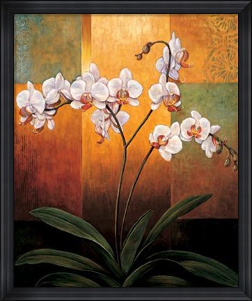 Framed Orchids Print