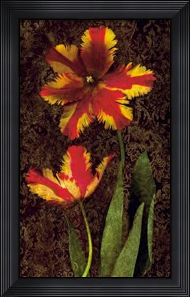 Framed Decorative Tulips II Print