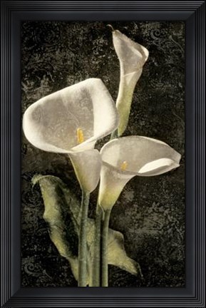 Framed Callas I Print