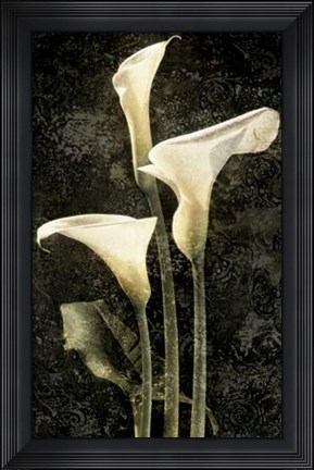 Framed Callas II Print