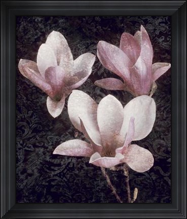 Framed Pink Magnolias II Print