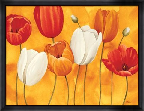 Framed Festa Di Tulipani Print