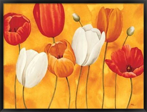 Framed Festa Di Tulipani Print
