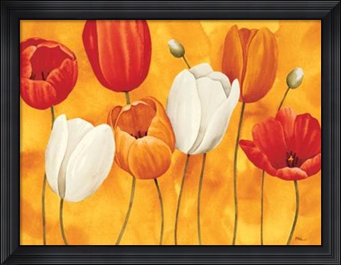 Framed Festa Di Tulipani Print
