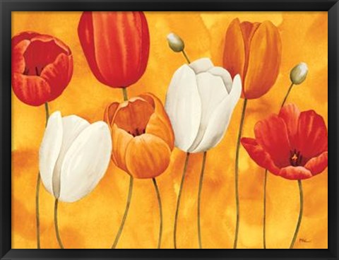 Framed Festa Di Tulipani Print