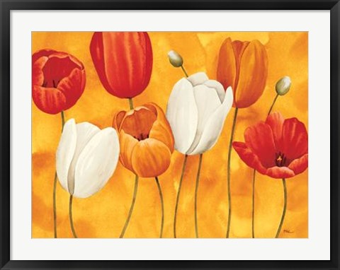 Framed Festa Di Tulipani Print