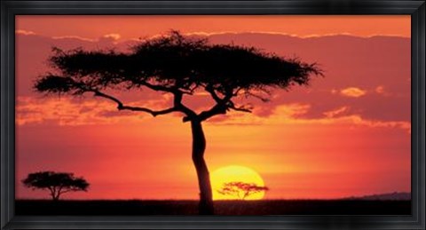 Framed Masai Mara Plains, Kenya Print