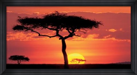 Framed Masai Mara Plains, Kenya Print