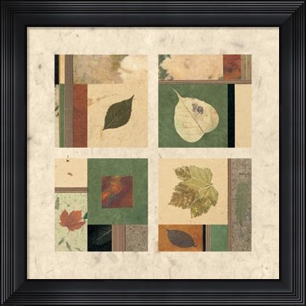 Framed Nature&#39;s Seasons II Print