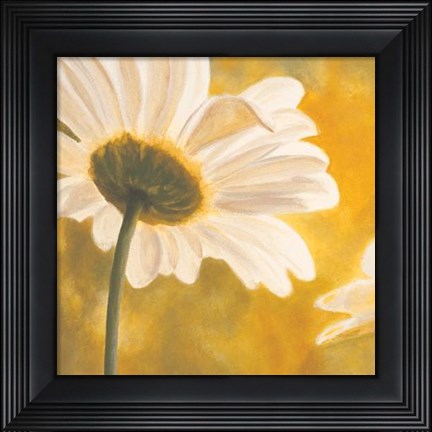 Framed Marguerites Dans Le Soleil I Print