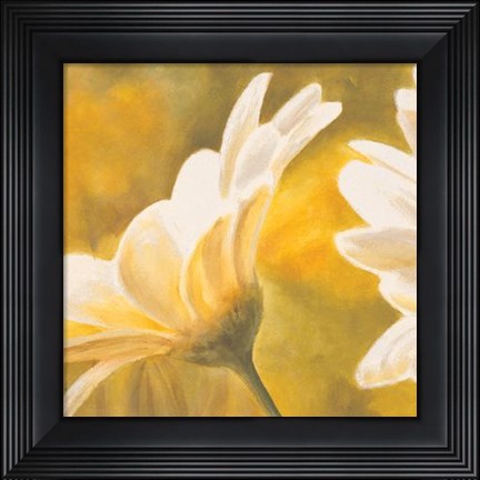 Framed Marguerites Dans Le Soleil II Print