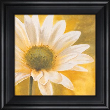 Framed Marguerites Dans Le Soleil III Print