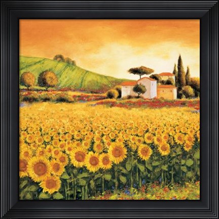 Framed Valley Of Sunflowers Print