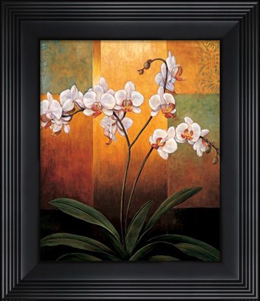 Framed Orchids Print
