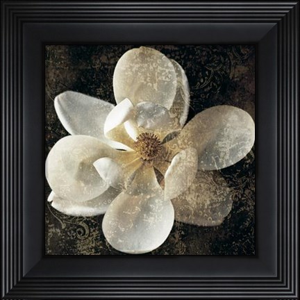 Framed Magnolia I Print
