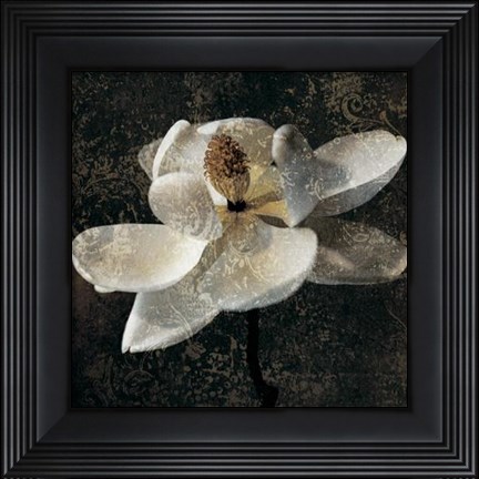 Framed Magnolia II Print