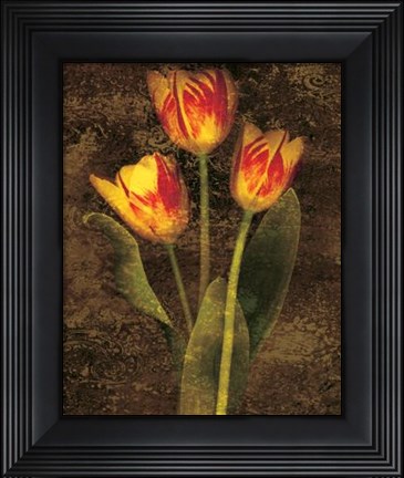 Framed Three Tulips Print