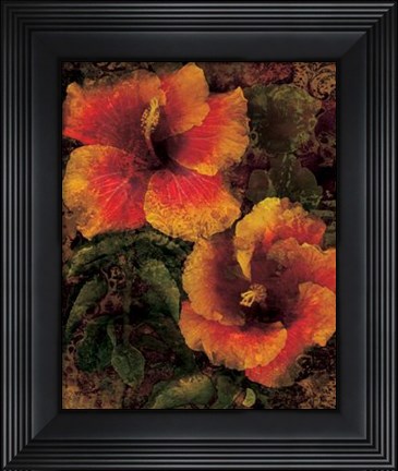 Framed Hibiscus I Print