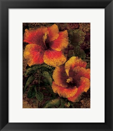 Framed Hibiscus I Print
