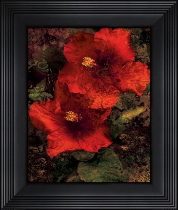 Framed Hibiscus II Print