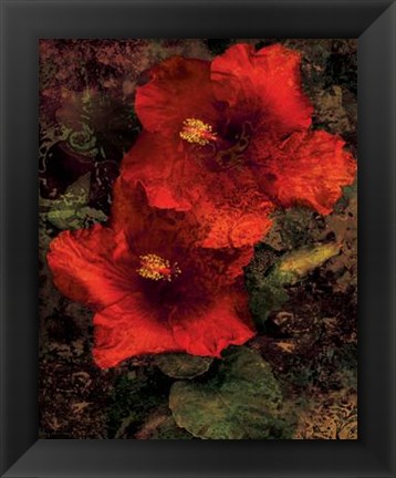 Framed Hibiscus II Print