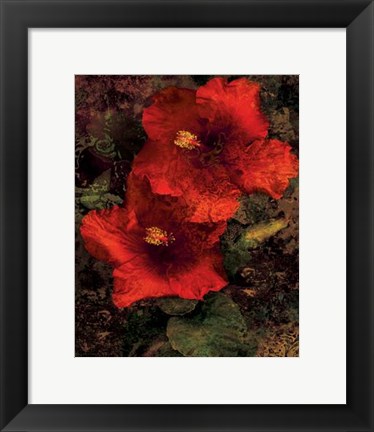 Framed Hibiscus II Print