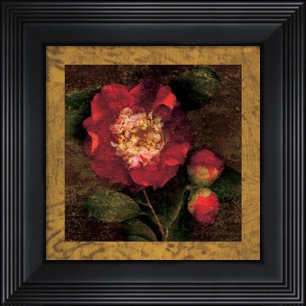 Framed Red Camellias I Print