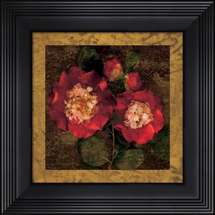 Framed Red Camellias II Print