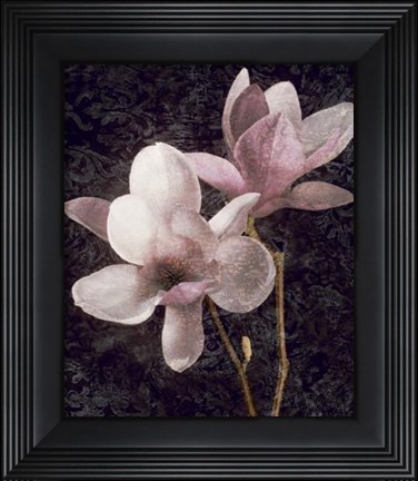 Framed Pink Magnolias I Print