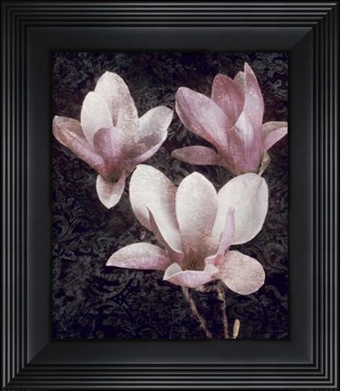 Framed Pink Magnolias II Print