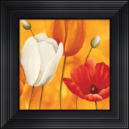 Framed Festa Di Tulipani Print