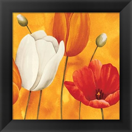 Framed Festa Di Tulipani Print
