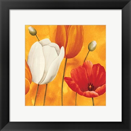 Framed Festa Di Tulipani Print