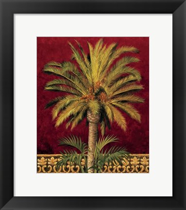 Framed Canary Palm Print