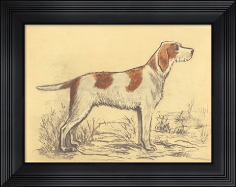 Framed Hunting Dogs-Griffon Print