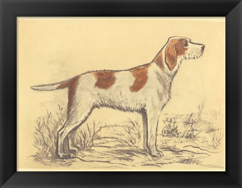 Framed Hunting Dogs-Griffon Print