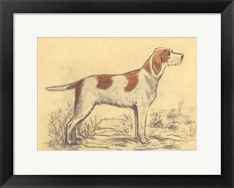 Framed Hunting Dogs-Griffon Print