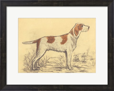 Framed Hunting Dogs-Griffon Print
