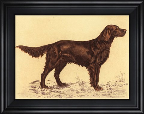 Framed Hunting Dogs-Setter Print