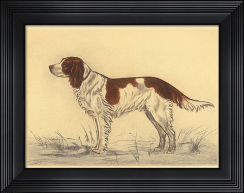 Framed Hunting Dogs-Spaniel Print