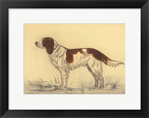 Framed Hunting Dogs-Spaniel Print