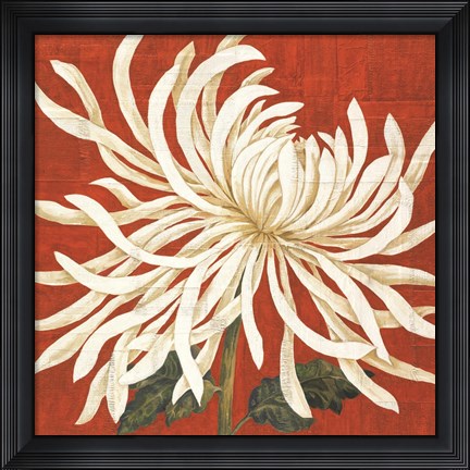 Framed Spider Mum I Print