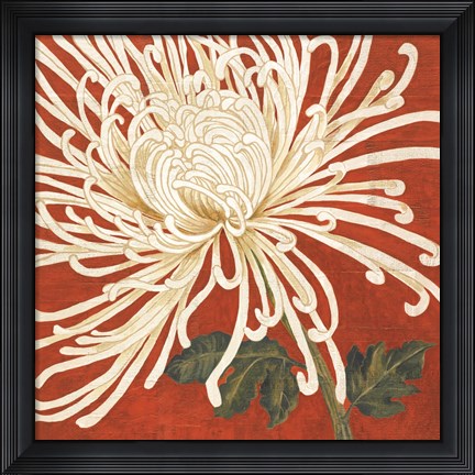 Framed Spider Mum II Print
