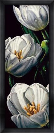 Framed Dewdrop Tulips Print