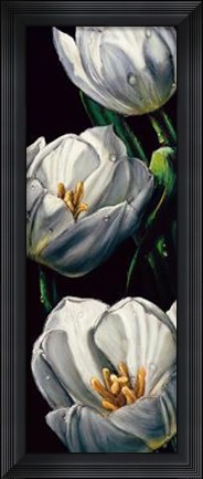 Framed Dewdrop Tulips Print