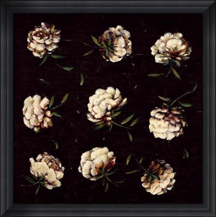 Framed Study In White Print