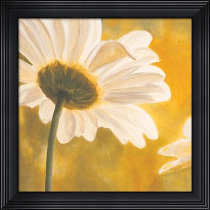 Framed Marguerites Dans Le Soleil I Print