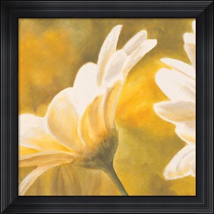Framed Marguerites Dans Le Soleil II Print