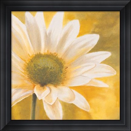 Framed Marguerites Dans Le Soleil III Print
