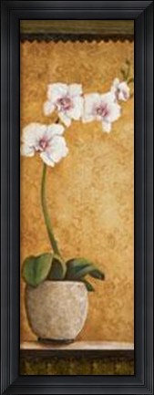 Framed Hanna's Orchids I Print